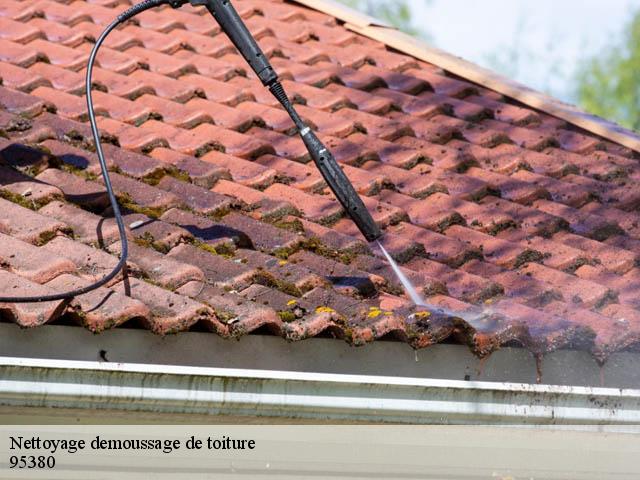 Nettoyage demoussage de toiture  louvres-95380 Artisan Lafleur, Couvreur 95